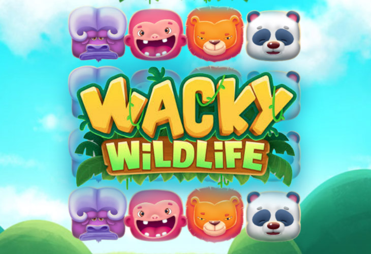 Wacky Wildlife - Onetouch slot at Casabet Casino Casino